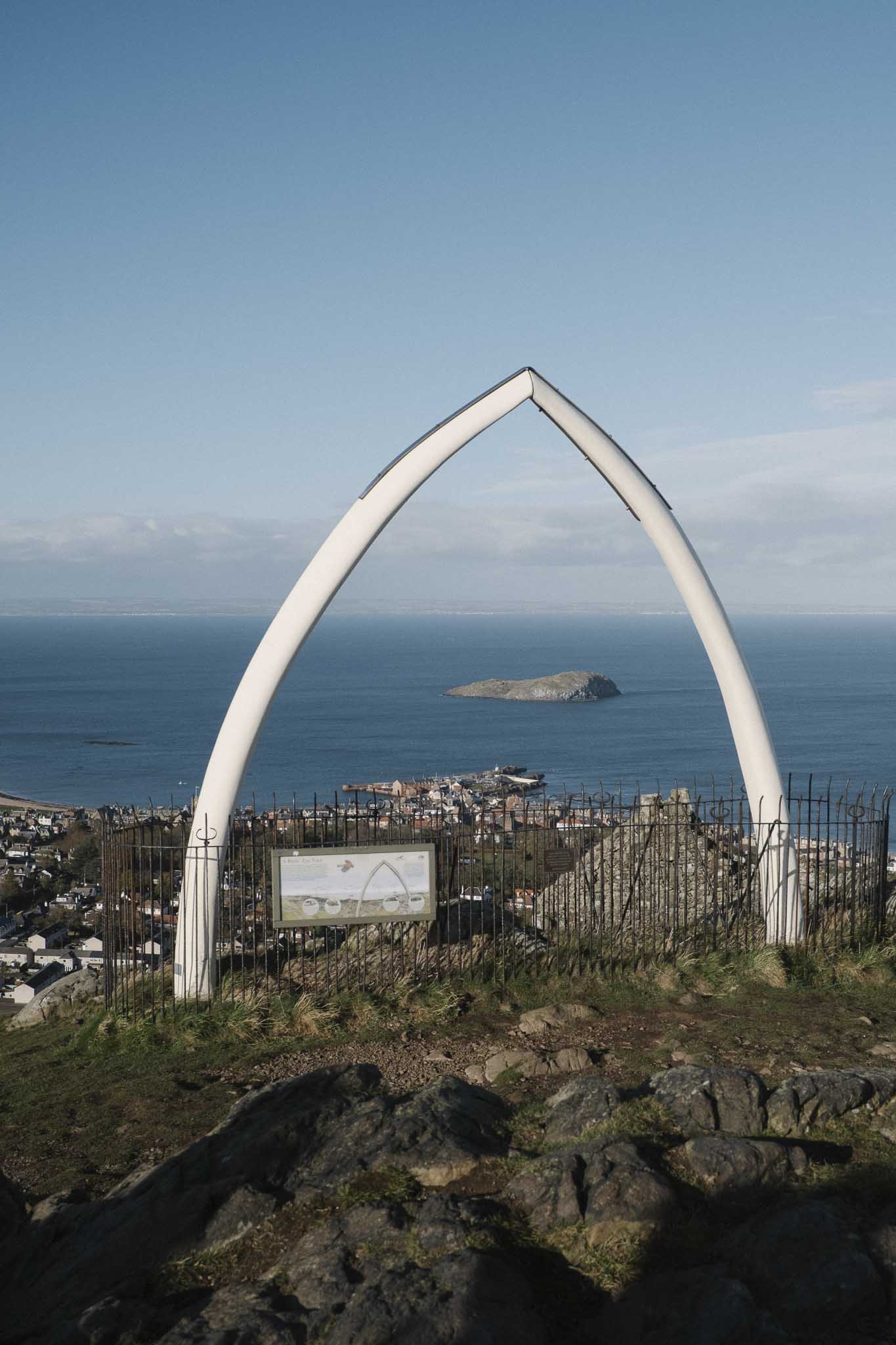 Fibreglass whale bone at the summit