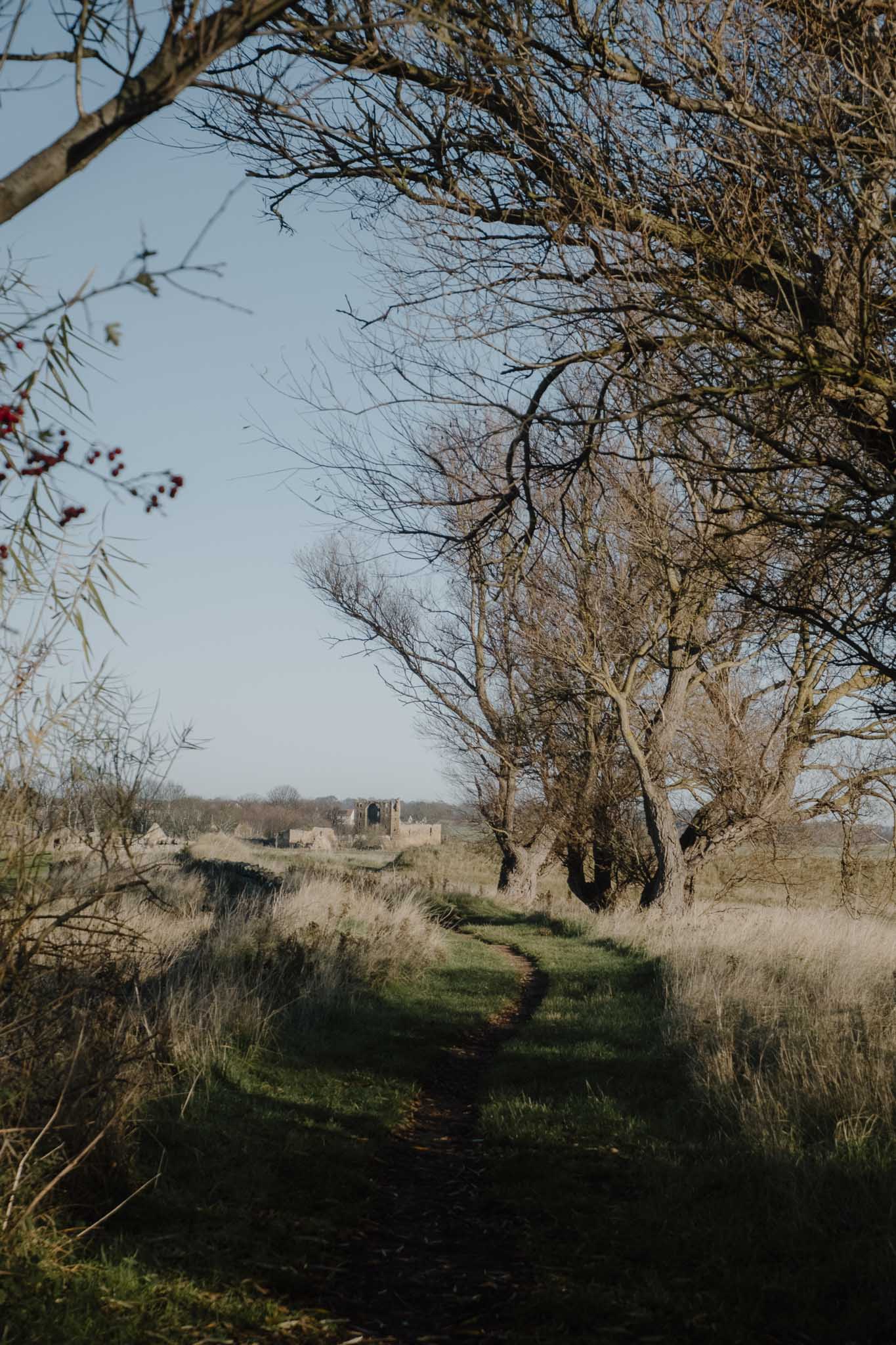 Walking through East Lothian farmlands