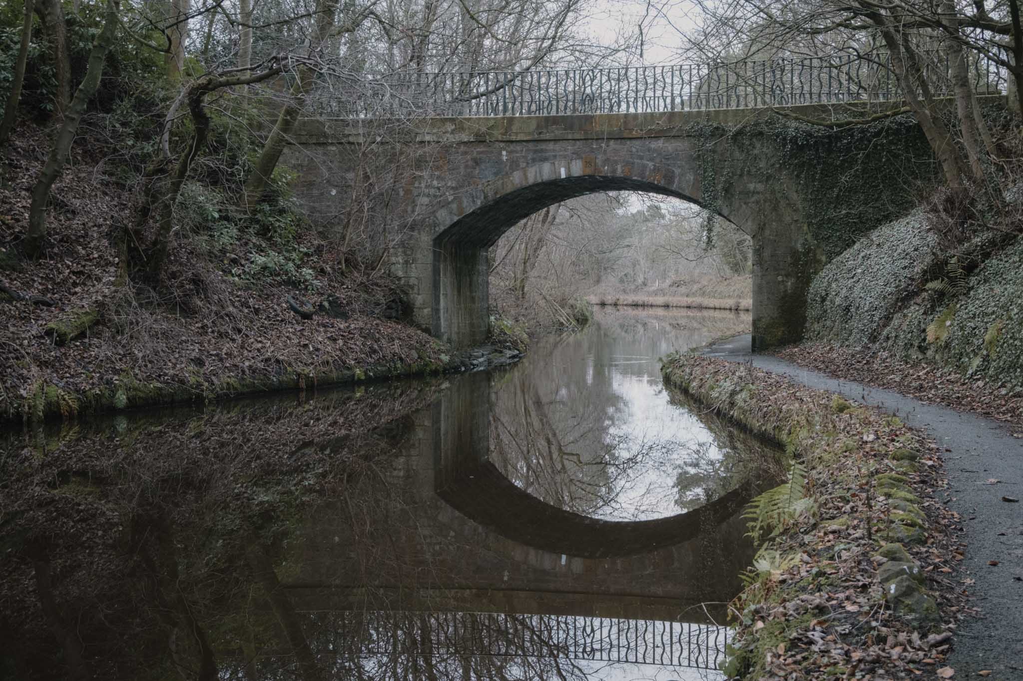 Peaceful canal stretch through woodland
