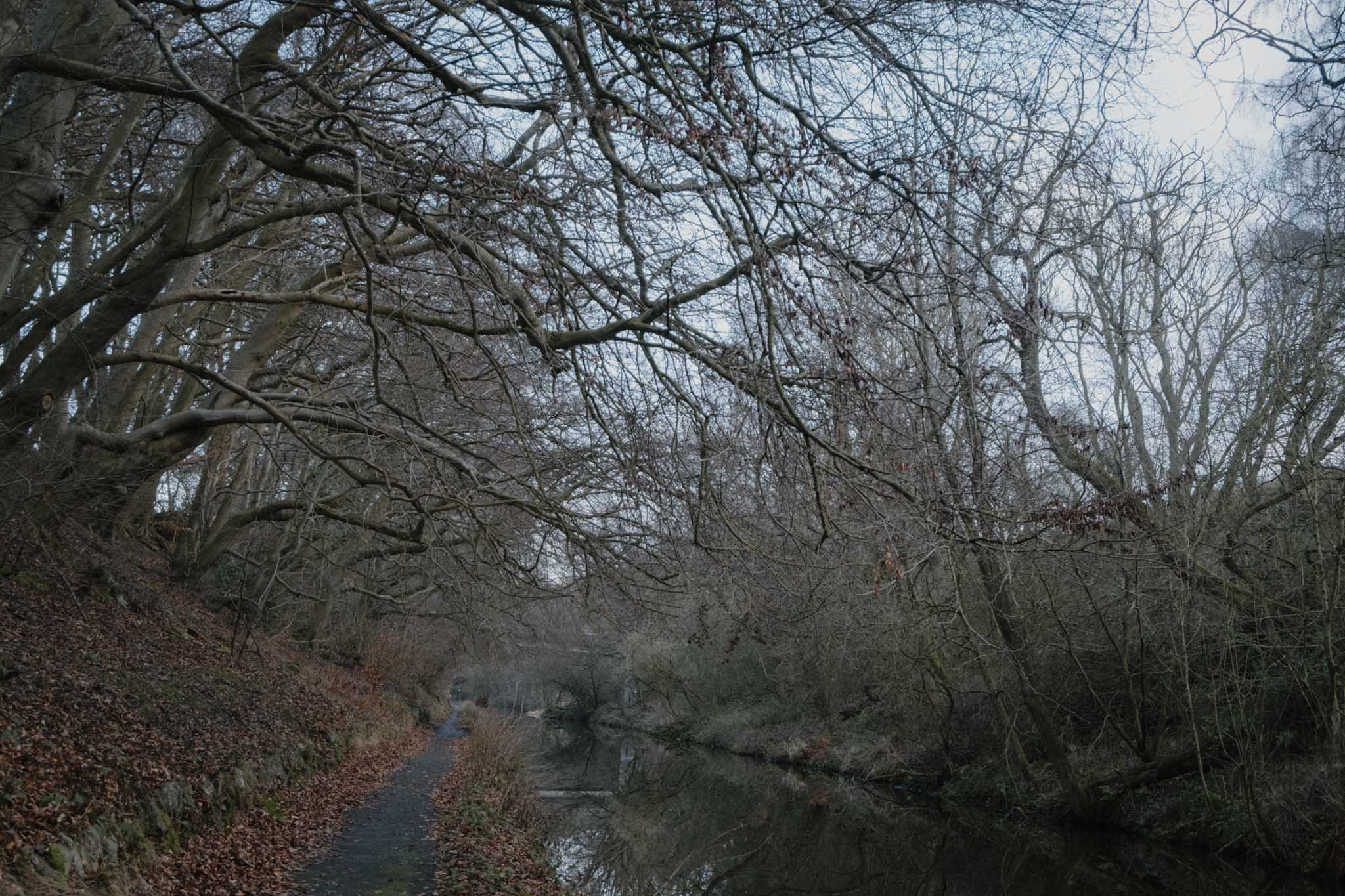 Woodland Walk along Union Canal