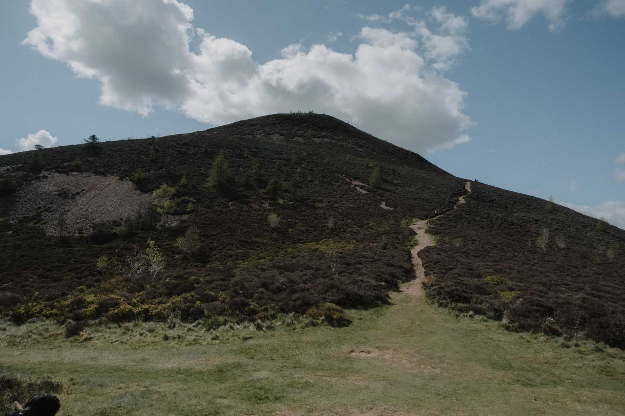 Eildon Mid Hill