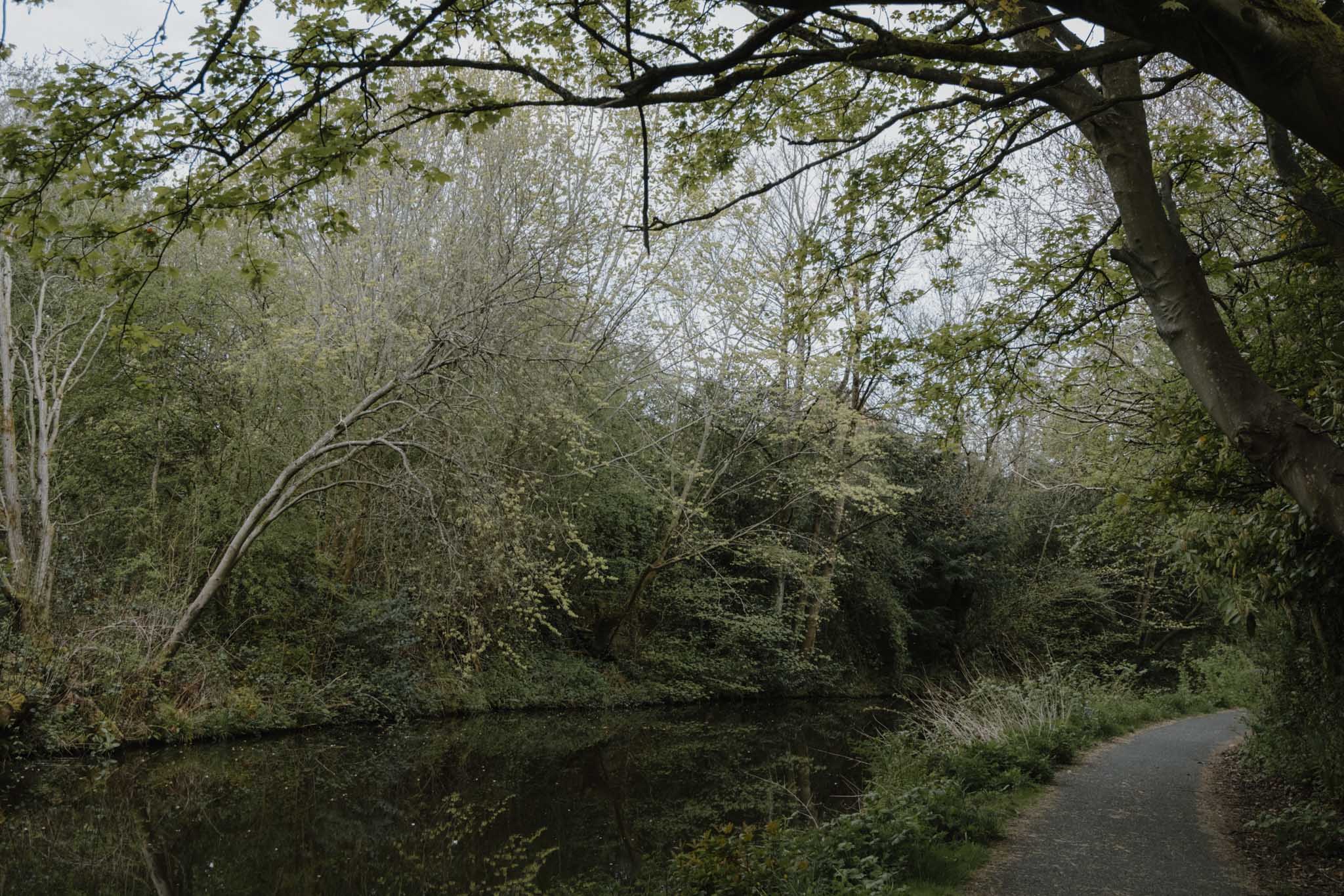 Union Canal leaving Polmont