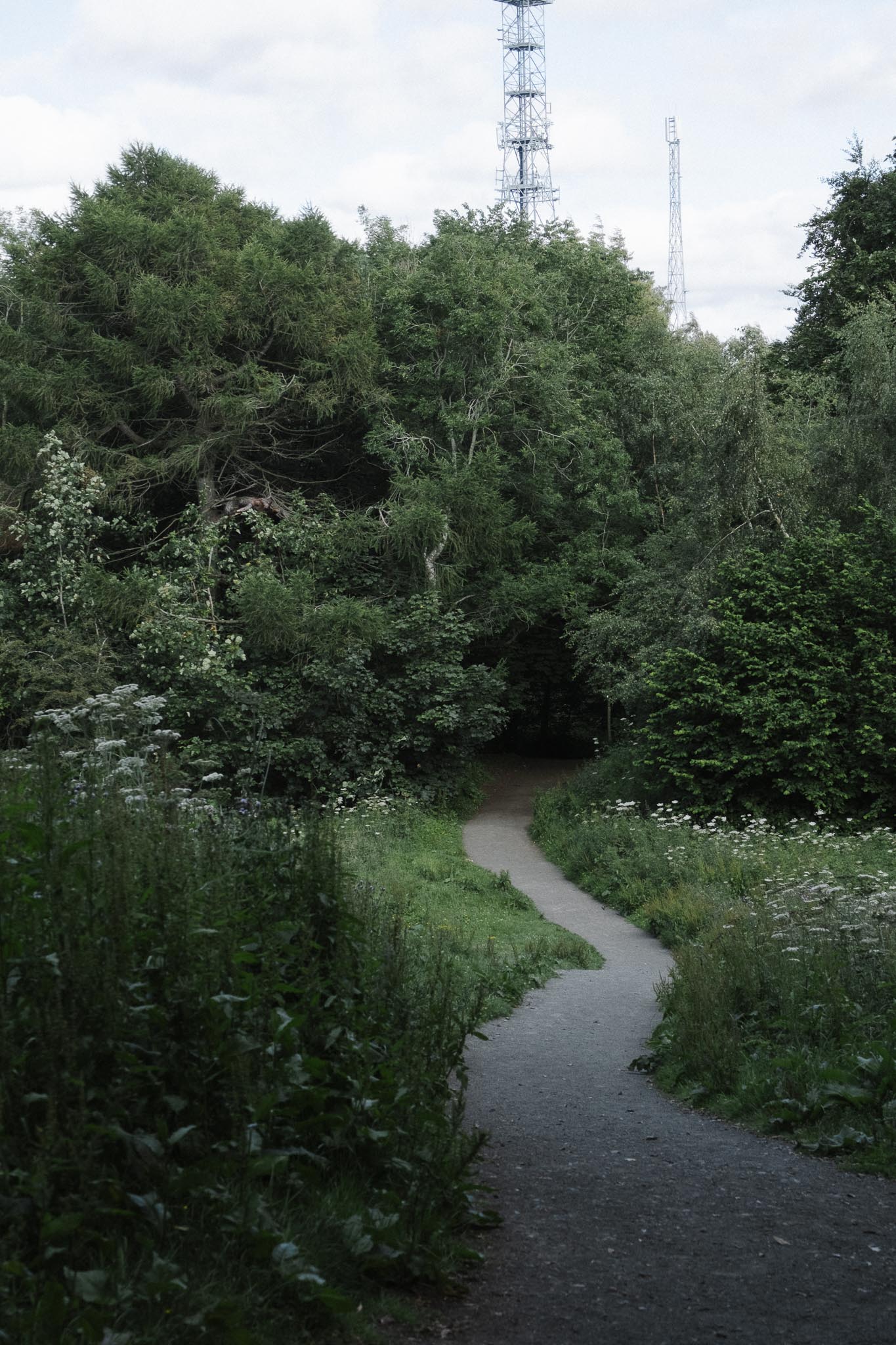 John Muir Way over Corstorphine hill