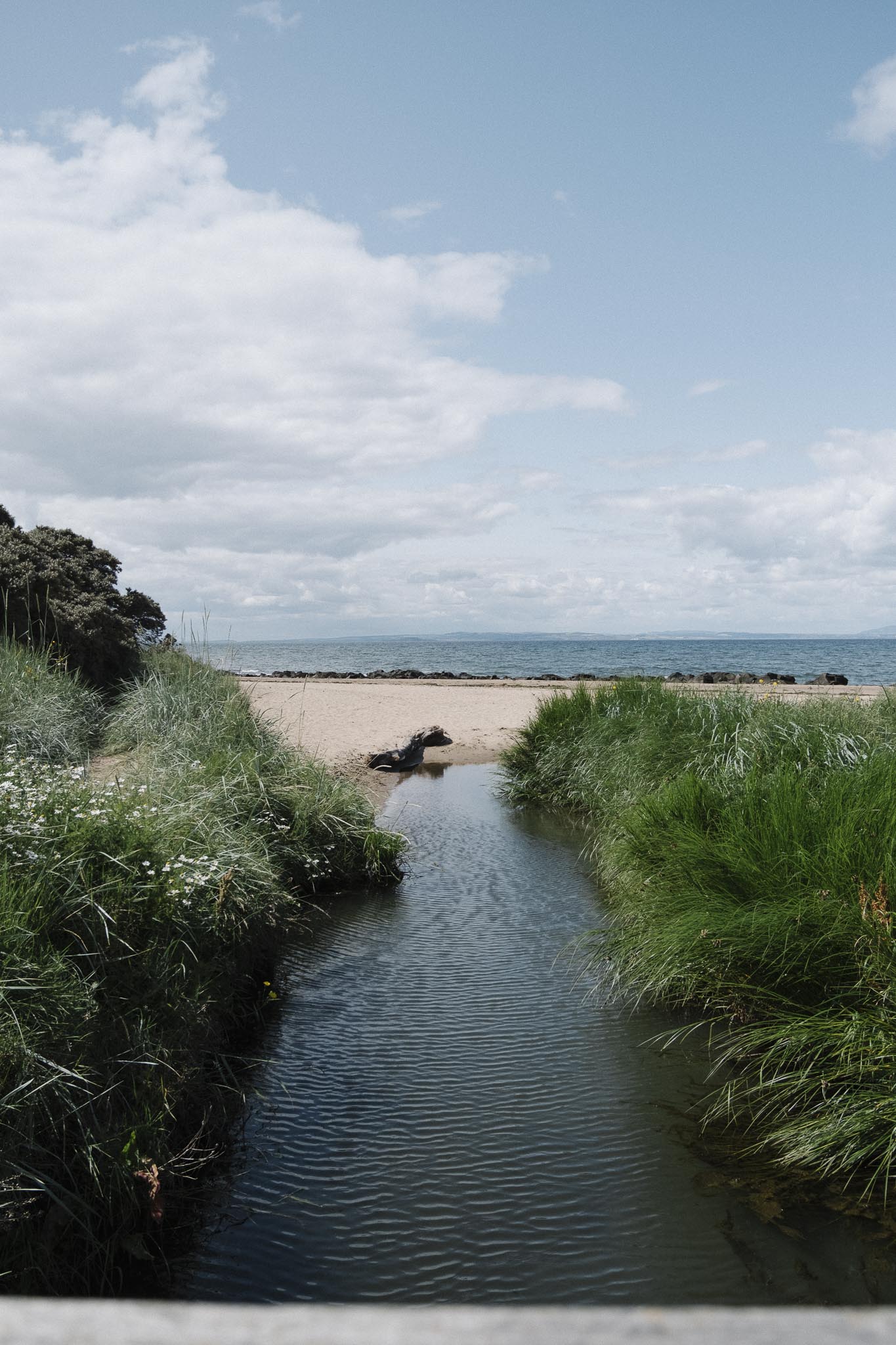 Sweeping coastal landscape
