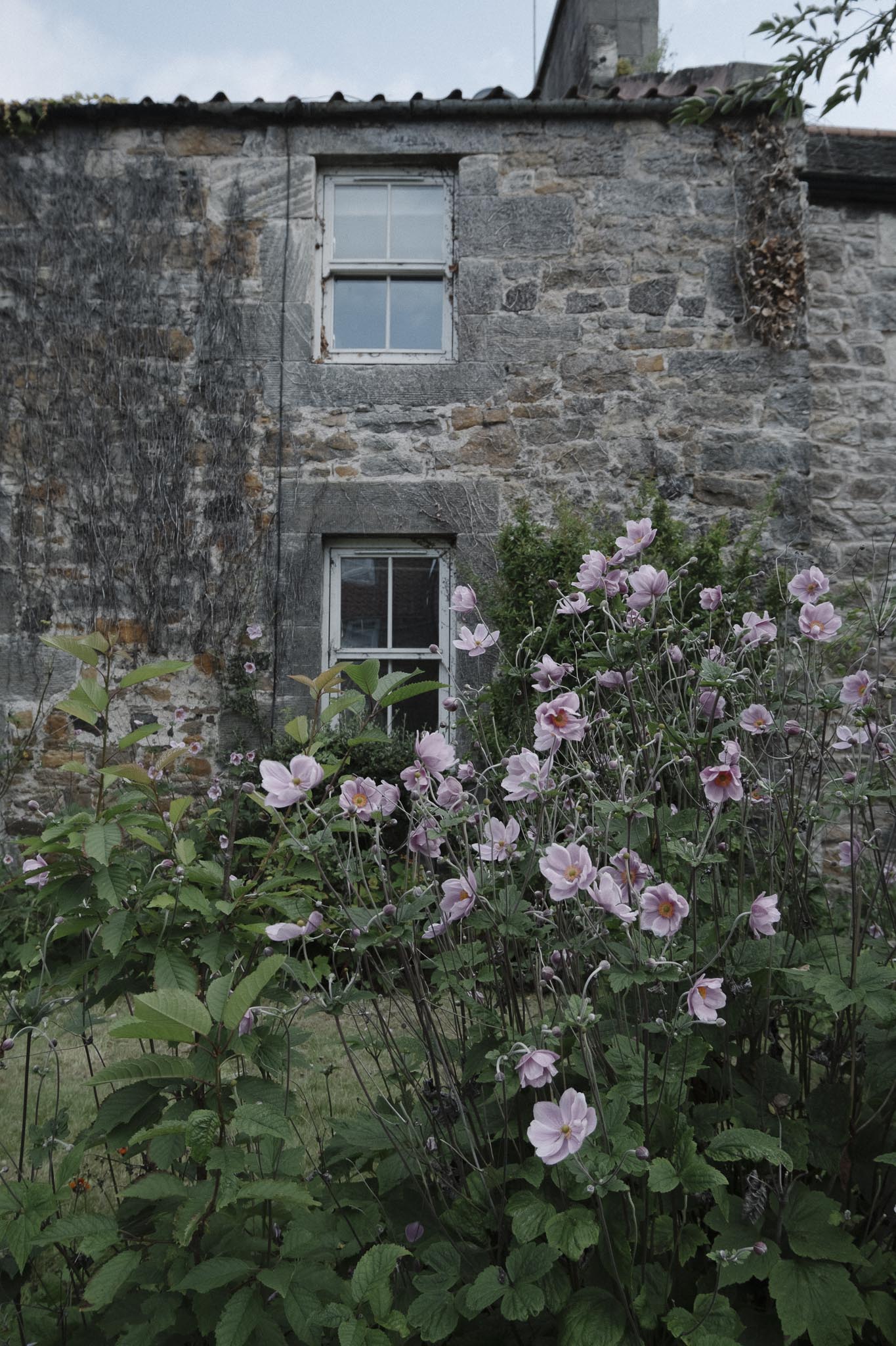 Pretty Aberlady