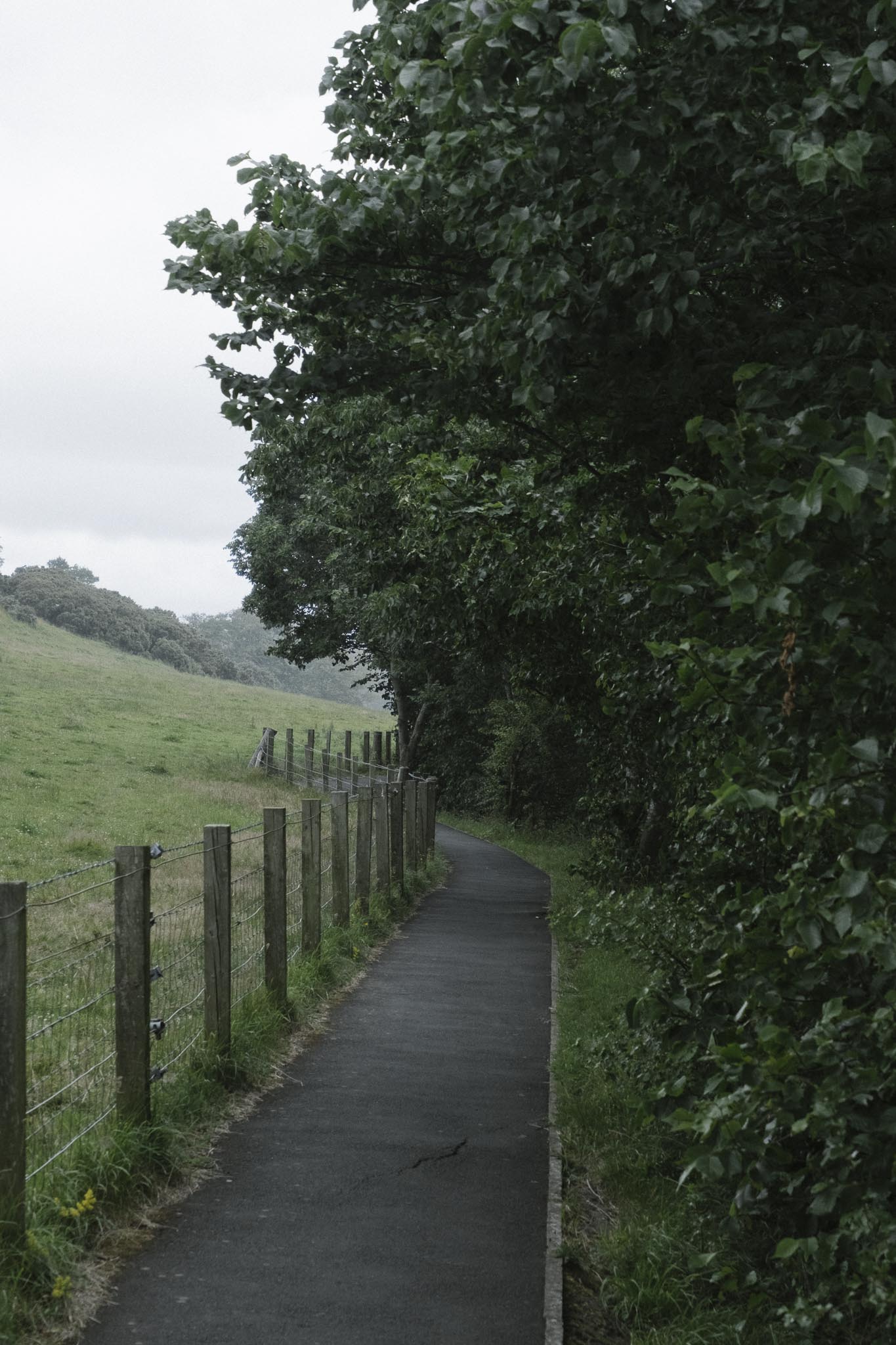 Heading West from Blackness