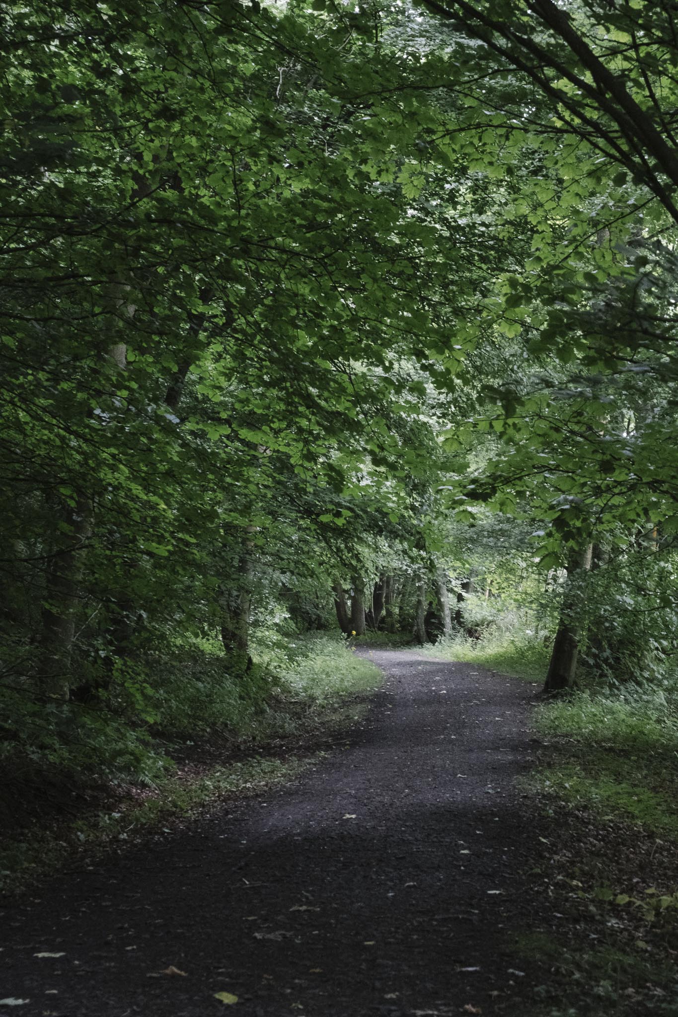 Final stretch to Bo'ness