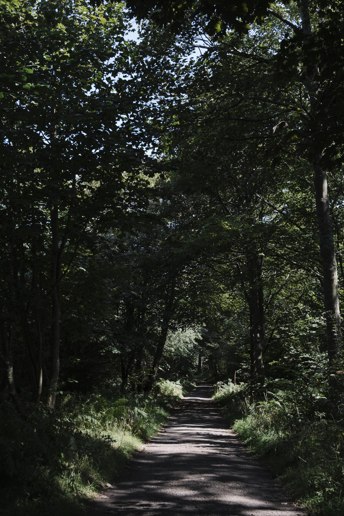Walking through Dalmeny Estate